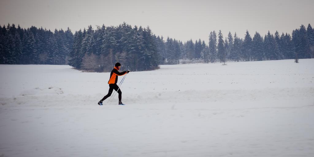 Penzion Ladoven Skvela Kuchyna A Rodinna Atmosfera Martin Esterno foto